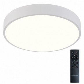 Накладной светильник Natali Kovaltseva  LED LAMPS 81112/5C в Ижевске - izhevsk.ok-mebel.com | фото 2