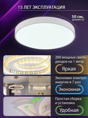 Накладной светильник Natali Kovaltseva  LED LAMPS 81112/5C в Ижевске - izhevsk.ok-mebel.com | фото 4
