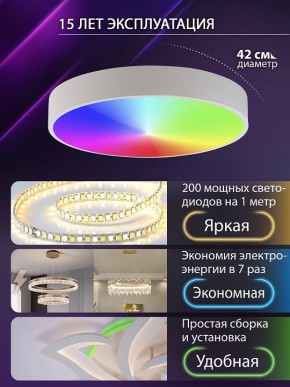 Накладной светильник Natali Kovaltseva MODERN LED LAMPS 81105/1C в Ижевске - izhevsk.ok-mebel.com | фото 6
