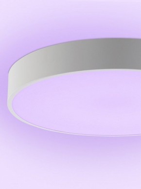 Накладной светильник Natali Kovaltseva MODERN LED LAMPS 81105/2C в Ижевске - izhevsk.ok-mebel.com | фото 9