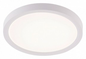 Накладной светильник Natali Kovaltseva PLAIN LED LAMPS 81113/1C в Ижевске - izhevsk.ok-mebel.com | фото
