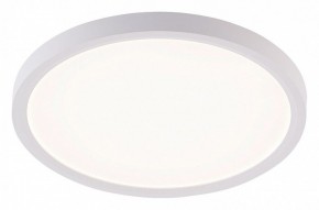 Накладной светильник Natali Kovaltseva PLAIN LED LAMPS 81113/2C в Ижевске - izhevsk.ok-mebel.com | фото