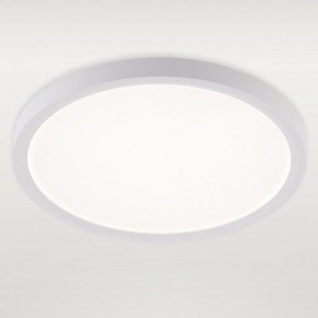 Накладной светильник Natali Kovaltseva PLAIN LED LAMPS 81113/2C в Ижевске - izhevsk.ok-mebel.com | фото 2