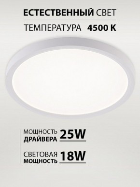 Накладной светильник Natali Kovaltseva PLAIN LED LAMPS 81113/2C в Ижевске - izhevsk.ok-mebel.com | фото 3
