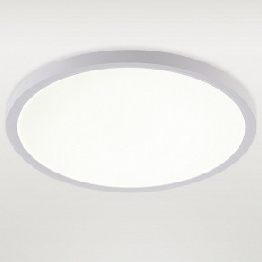 Накладной светильник Natali Kovaltseva PLAIN LED LAMPS 81113/3C в Ижевске - izhevsk.ok-mebel.com | фото 2