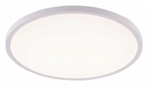 Накладной светильник Natali Kovaltseva PLAIN LED LAMPS 81113/4C в Ижевске - izhevsk.ok-mebel.com | фото