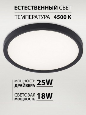 Накладной светильник Natali Kovaltseva PLAIN LED LAMPS 81114/2C в Ижевске - izhevsk.ok-mebel.com | фото 3