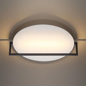 Накладной светильник Odeon Light Next 7015/20WL в Ижевске - izhevsk.ok-mebel.com | фото 2