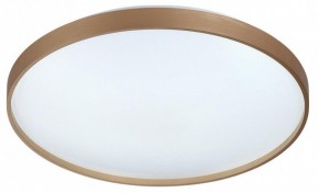 Накладной светильник Sonex Gaby 7783/EL в Ижевске - izhevsk.ok-mebel.com | фото 4