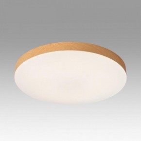 Накладной светильник Sonex Gamma 7761/50L в Ижевске - izhevsk.ok-mebel.com | фото 3