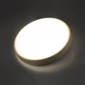 Накладной светильник Sonex Losta 7607/CL в Ижевске - izhevsk.ok-mebel.com | фото 3