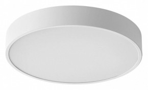 Накладной светильник Sonex Quasar 7755/36L в Ижевске - izhevsk.ok-mebel.com | фото
