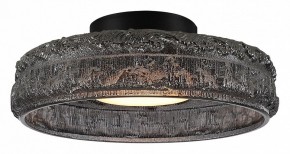 Накладной светильник ST-Luce ANTIKE SL6143.412.01 в Ижевске - izhevsk.ok-mebel.com | фото 2