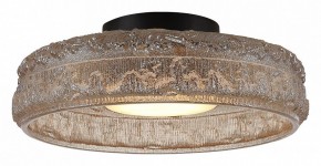 Накладной светильник ST-Luce ANTIKE SL6143.422.01 в Ижевске - izhevsk.ok-mebel.com | фото 3