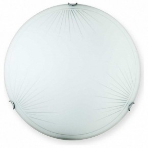 Накладной светильник TopLight Wifa TL9142Y-00WH в Ижевске - izhevsk.ok-mebel.com | фото
