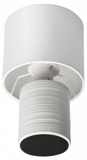 Настольная лампа декоративная Lumion Tuala 8144/1Т в Ижевске - izhevsk.ok-mebel.com | фото 3