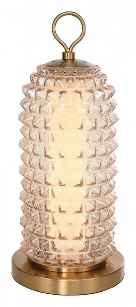 Настольная лампа декоративная ST-Luce SAGUARO SL6144.304.01 в Ижевске - izhevsk.ok-mebel.com | фото 2