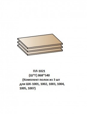 ПЛ-1021 (Комплект полок из 3 шт для ШК-1001, 1002, 1003, 1004, 1005, 1007) в Ижевске - izhevsk.ok-mebel.com | фото
