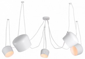 Подвесная люстра Lussole Shirley LSP-8175 в Ижевске - izhevsk.ok-mebel.com | фото