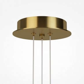 Подвесная люстра Maytoni Arana MOD401PL-L108BS3K в Ижевске - izhevsk.ok-mebel.com | фото 7