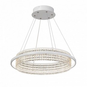 Подвесная люстра Vitaluce V5400 V5400-0/1S в Ижевске - izhevsk.ok-mebel.com | фото 2