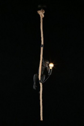 Подвесной светильник Aployt Magali APL.309.16.01 в Ижевске - izhevsk.ok-mebel.com | фото 3