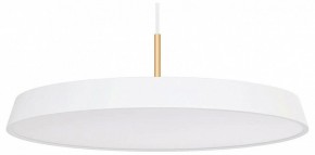 Подвесной светильник Arlight ELEGANT 033925(1) в Ижевске - izhevsk.ok-mebel.com | фото
