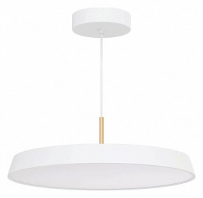 Подвесной светильник Arlight ELEGANT 033925(1) в Ижевске - izhevsk.ok-mebel.com | фото 2