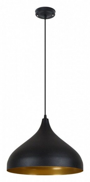 Подвесной светильник Arte Lamp Carmel A7076SP-1BK в Ижевске - izhevsk.ok-mebel.com | фото 2