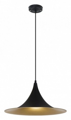 Подвесной светильник Arte Lamp Carmel A7080SP-1BK в Ижевске - izhevsk.ok-mebel.com | фото 2