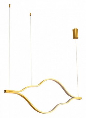 Подвесной светильник Arte Lamp Odyssey A2911SP-31GO в Ижевске - izhevsk.ok-mebel.com | фото 2