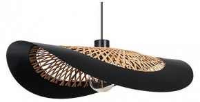 Подвесной светильник Arte Lamp Woodstock A7059SP-1BK в Ижевске - izhevsk.ok-mebel.com | фото