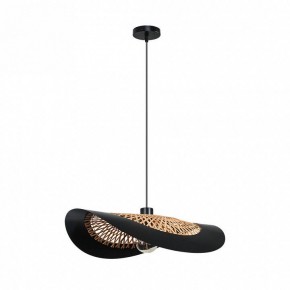 Подвесной светильник Arte Lamp Woodstock A7059SP-1BK в Ижевске - izhevsk.ok-mebel.com | фото 2