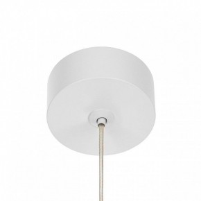 Подвесной светильник Citilux Bruno CL565010 в Ижевске - izhevsk.ok-mebel.com | фото 5