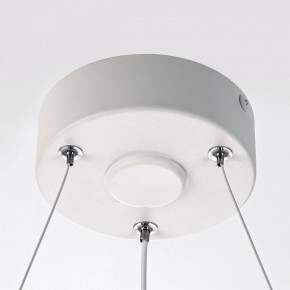 Подвесной светильник Citilux Trio CL215B050 в Ижевске - izhevsk.ok-mebel.com | фото 10