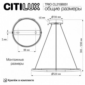 Подвесной светильник Citilux Trio CL215B051 в Ижевске - izhevsk.ok-mebel.com | фото 8