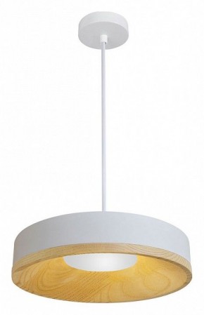 Подвесной светильник Divinare Vaso 5119/33 SP-12 в Ижевске - izhevsk.ok-mebel.com | фото 2