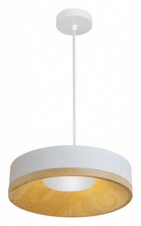 Подвесной светильник Divinare Vaso 5119/33 SP-8 в Ижевске - izhevsk.ok-mebel.com | фото 2