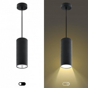 Подвесной светильник Эра  PL12 GX53 BK/SL в Ижевске - izhevsk.ok-mebel.com | фото 5