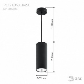 Подвесной светильник Эра  PL12 GX53 BK/SL в Ижевске - izhevsk.ok-mebel.com | фото 8