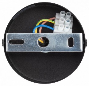 Подвесной светильник Эра  PL12 GX53 BK/SL в Ижевске - izhevsk.ok-mebel.com | фото 9