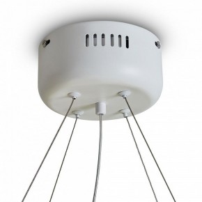 Подвесной светильник Freya Rain FR5546PL-L60W в Ижевске - izhevsk.ok-mebel.com | фото 9