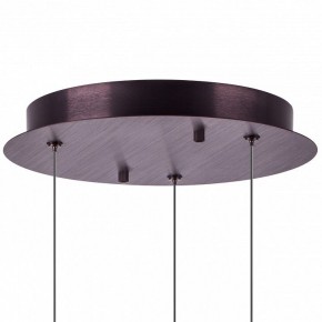 Подвесной светильник Lightstar Caramello 796139 в Ижевске - izhevsk.ok-mebel.com | фото 13