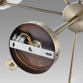 Подвесной светильник Lumion Mave 8100/8C в Ижевске - izhevsk.ok-mebel.com | фото 6