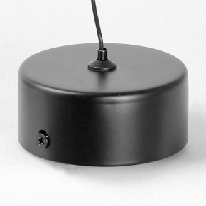 Подвесной светильник Lussole Blount LSP-7356 в Ижевске - izhevsk.ok-mebel.com | фото 6