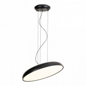Подвесной светильник Lussole Crook LSP-7360 в Ижевске - izhevsk.ok-mebel.com | фото 2