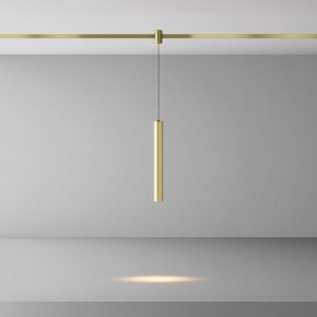 Подвесной светильник Maytoni Focus Led TR155-1-5W3K-BS в Ижевске - izhevsk.ok-mebel.com | фото 2