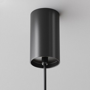 Подвесной светильник Maytoni Jelly P105PL-12W3K-B в Ижевске - izhevsk.ok-mebel.com | фото 8