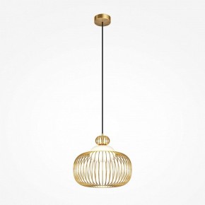 Подвесной светильник Maytoni Levitation MOD376PL-01G в Ижевске - izhevsk.ok-mebel.com | фото 2
