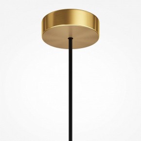 Подвесной светильник Maytoni Levitation MOD376PL-01G в Ижевске - izhevsk.ok-mebel.com | фото 7